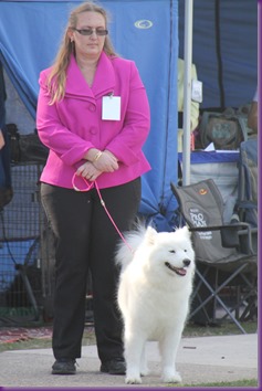 Dog Show-Spring Fair (8 of 10)_crop