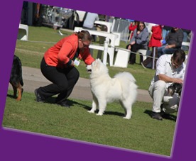 20130727_Dog Show_TnG (13 of 14)