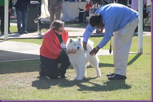 20130727_Dog Show_TnG (5 of 14)