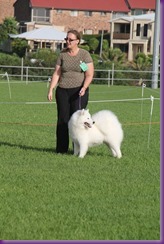 20130303_Dog Show - Wollongong (6 of 13)